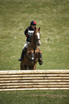 BVHT 140517  IXC -489