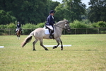 WJ6_5425