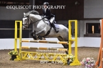 BPP_4198