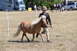 WJ6_8617