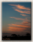 African Summer Sunset