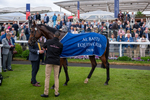 150525-Pride Of Arras-5577