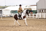 SBM_03697