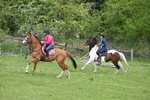WJ6_3668