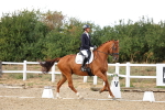 SBM_007531