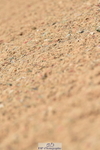 230415A-142423-02414