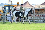 SBM_11453