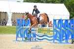 378-CLASS_SPEC-Susie_Eddis-SUNTrotUp+SJ portfolio