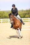 SBM_007899