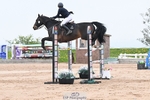Cls 7 - 2 Star Medium Tour Jump Off portfolio