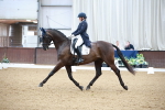 SBM_009784