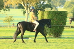 SBM_56496