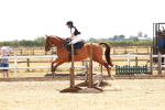 SBM_003977