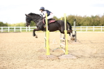 SBM_003933