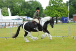 SBM_00910