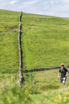 Settle Hills-44