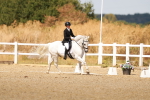 SBM_018527