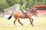 SBM_10762
