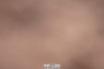 240505A-170342-07282