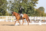 SBM_01630
