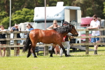 SBM_02480