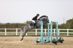 SBM_03730