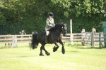 SBM_09614