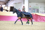 SBM_09997