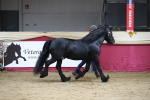 SBM_04990