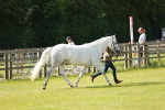 SBM_01622