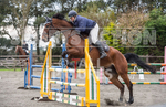North Showjumping_2016-135