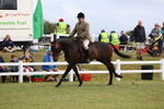 3E7A0978