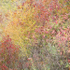 ROADSIDE TAPESTRY - BRUCE COUNTY