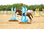 SBM_000655