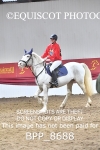 BPP_8688