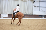 SBM_002384