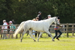 SBM_02484
