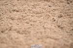 240324A-121053-02558