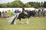 SBM_15915