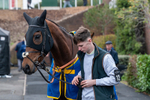 Race 6 portfolio