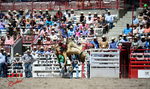 3HRodeo_CFD_JUL_18_2026_03939