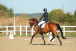 SBM_000627