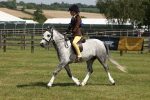 SBM_05355