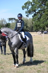 Class 37b Best Loan Pony In-hand portfolio