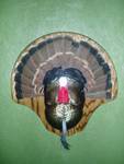 GALAN