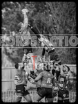 Guernsey Raiders v Rochford Hundred 2023-48