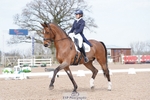 005-Sara-Jane.Lanning-Choice portfolio