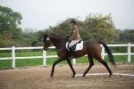 SBM_003534