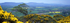 Patches of Colour, Cliff Ridge