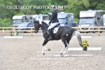 BPP_0421